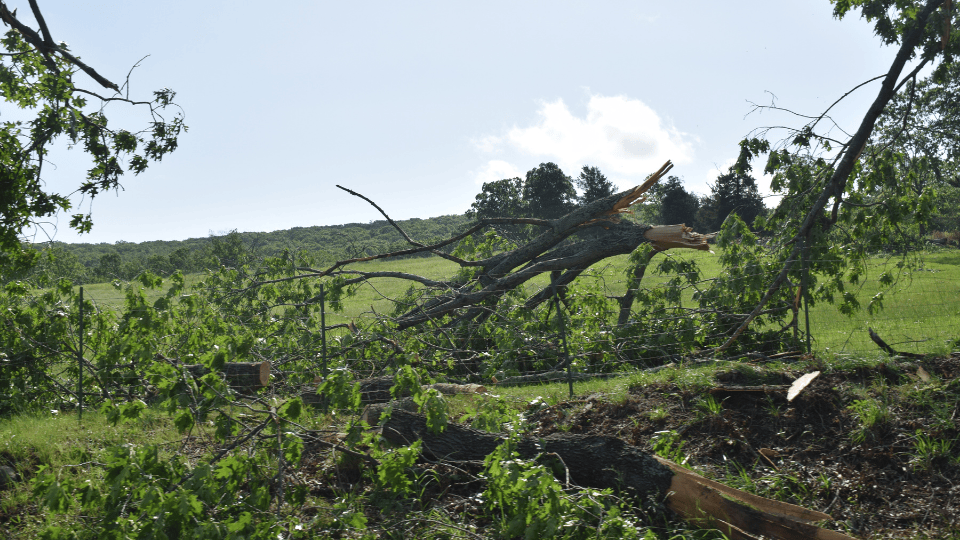 NWS Begins Survey of Tornado Damage from Monday’s Severe Weather
