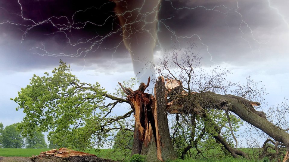 EF-2 Tornado Causes Extensive Damage Across Eastern Wayne and Bollinger Counties