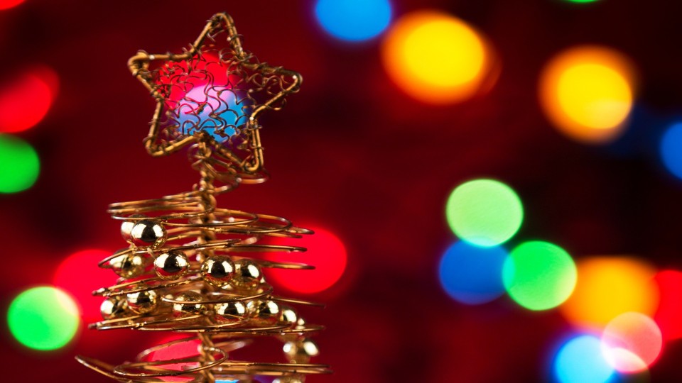 Potosi Elks Christmas Auction Fundraiser