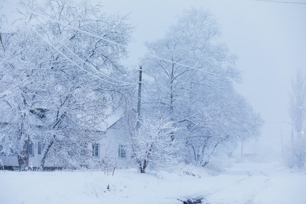 Home Winter Weather Survival Preparation