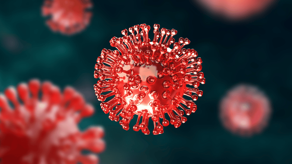 COVID Cases Remain Steady as Missouri Prepares for Flu Season