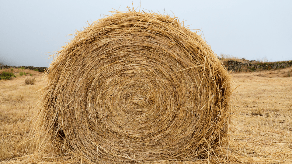 Preparing Hay Now for Livestock in Winter Months