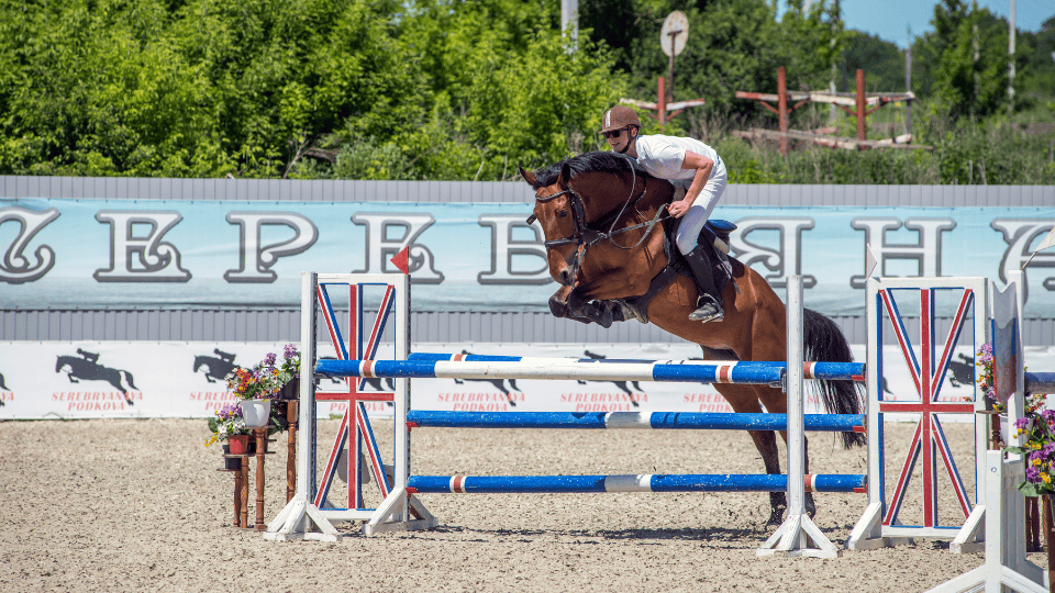 4-H Horse Show at St. Francois County Fair Rescheduled Due to Weather Concerns