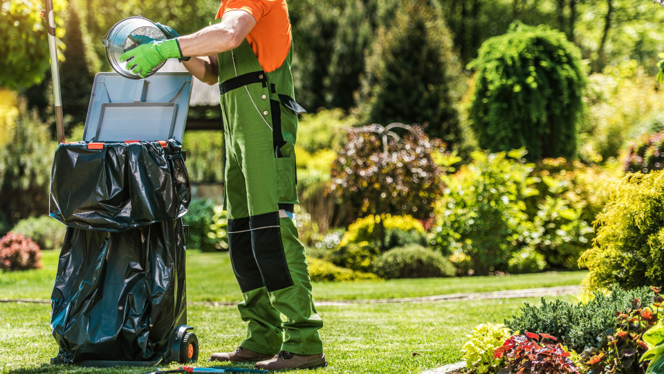 Bismarck Spring Clean Up